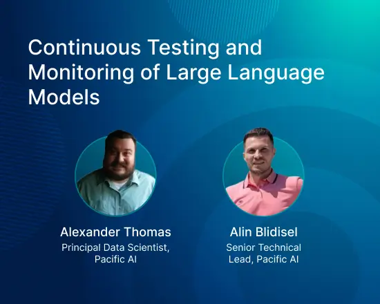 Continuous Testing and Monitoring of Large Language Models